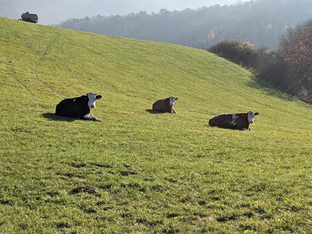 Ferienwohnungen Am Aeppelsberg Volkesfeld Exteriér fotografie